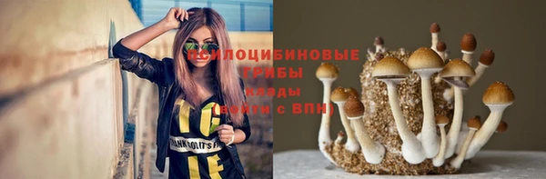дживик Алексин