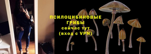 ALPHA PVP Алзамай