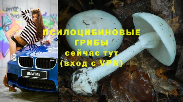 ALPHA PVP Алзамай