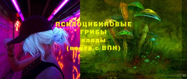 дживик Алексин