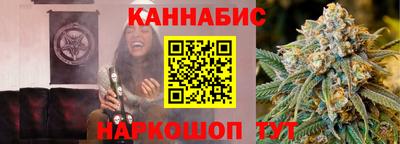 стаф Гудермес