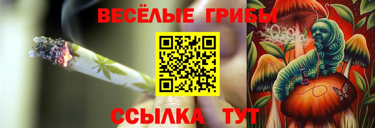 Краснокамск  Псилоцибиновые грибы Psilocybine cubensis  Вход с VPN  Псилоцибиновые грибы мицелий 